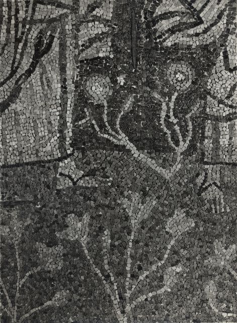 Zigrossi, Giuseppe — Anonimo romano sec. IX - S. Maria in Domnica, mosaico dell'arco trionfale: prato fiorito — particolare
